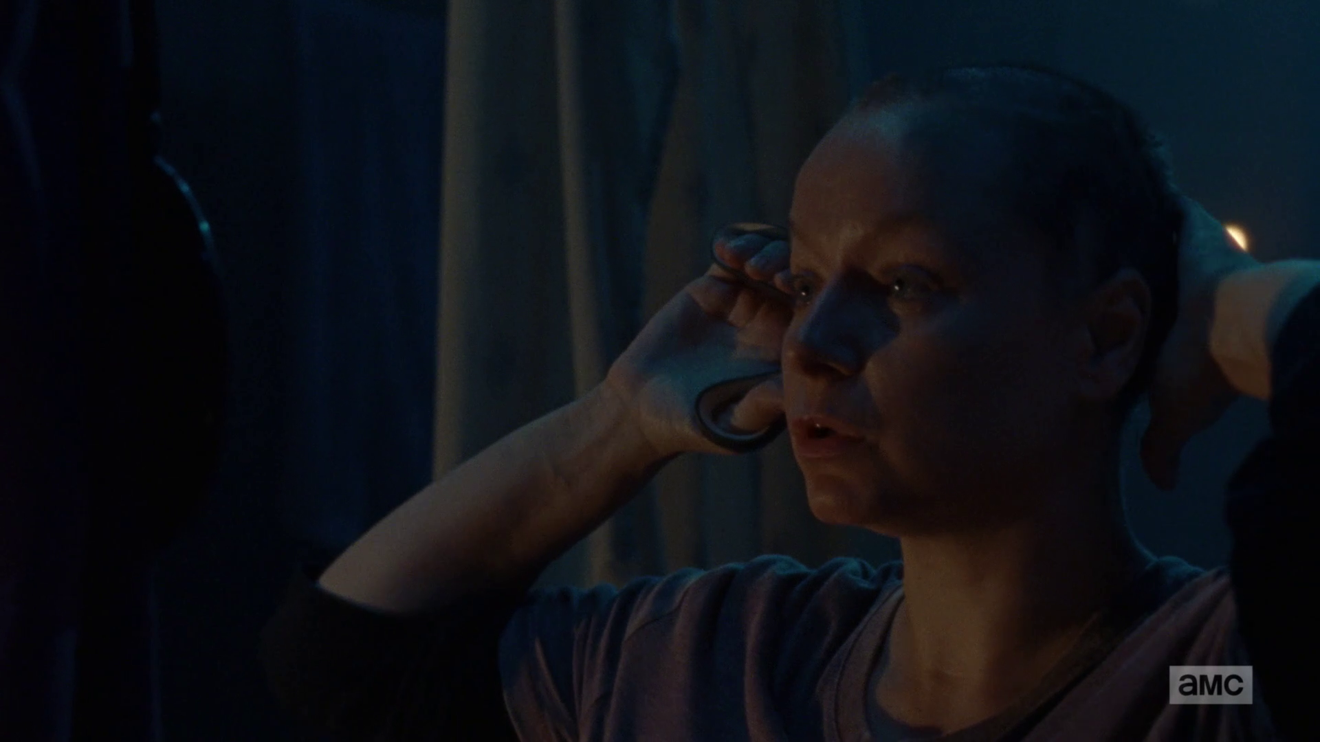 The Walking Dead saison 9 épisode 10 : avis et analyse