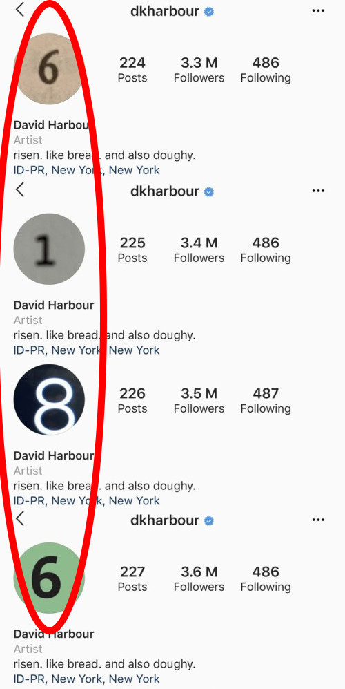 Photo Profil Instagram David Harbour Stranger Things