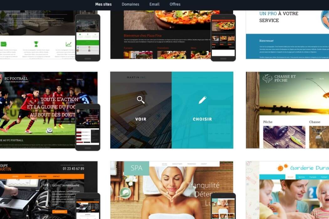 Choix thèmes Webself