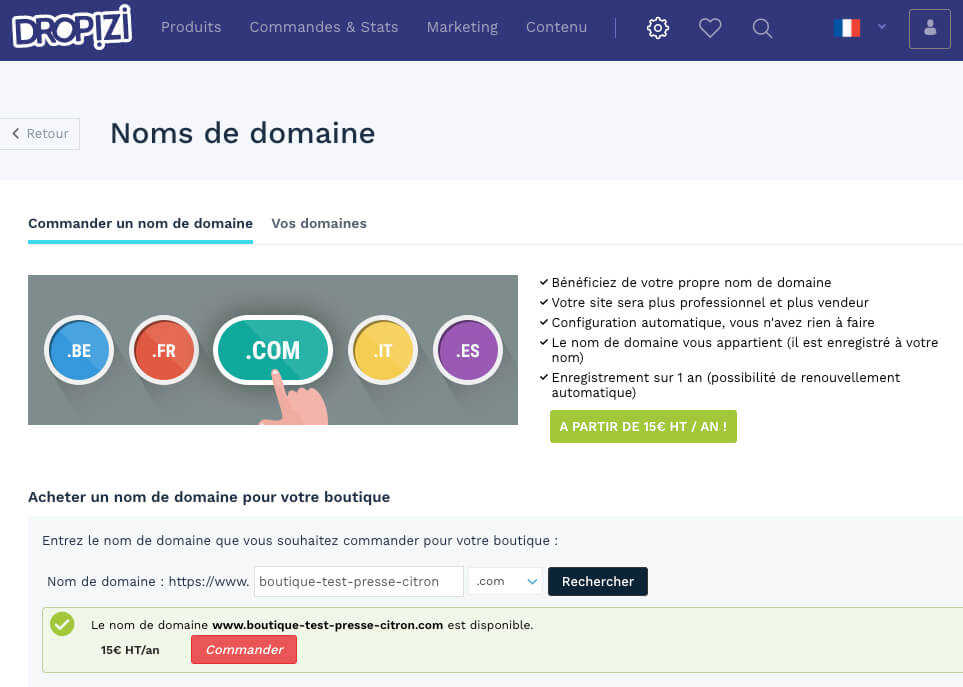 Commande nom domaine Dropizi