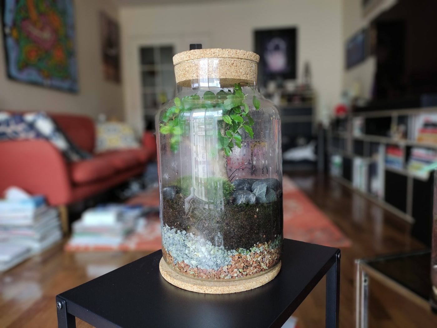 Xiaomi Redmi Note 10