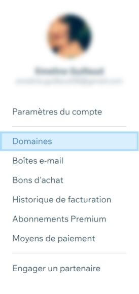 Domaines Wix