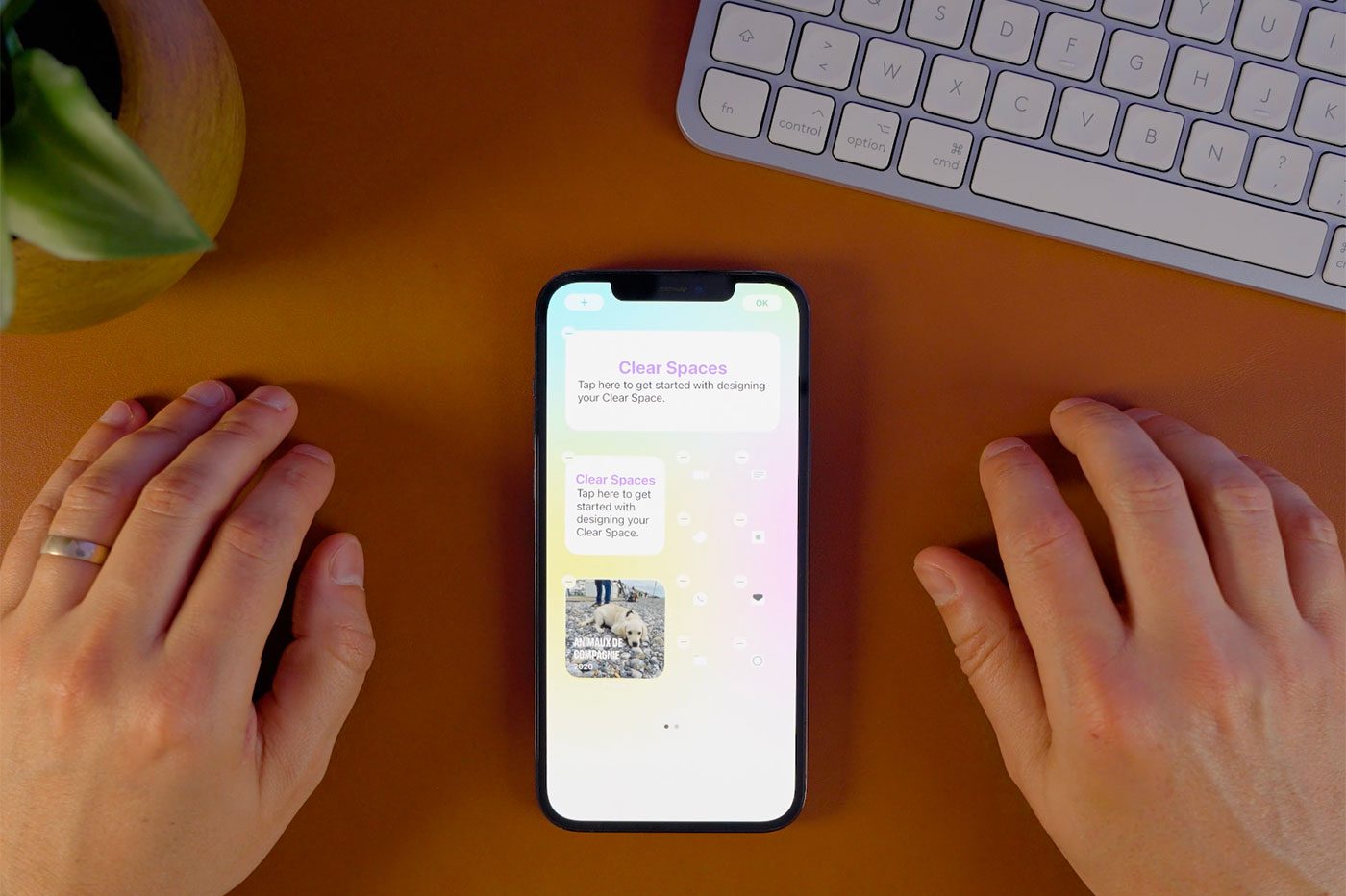 Un petit widget dynamique pour couronner le tout