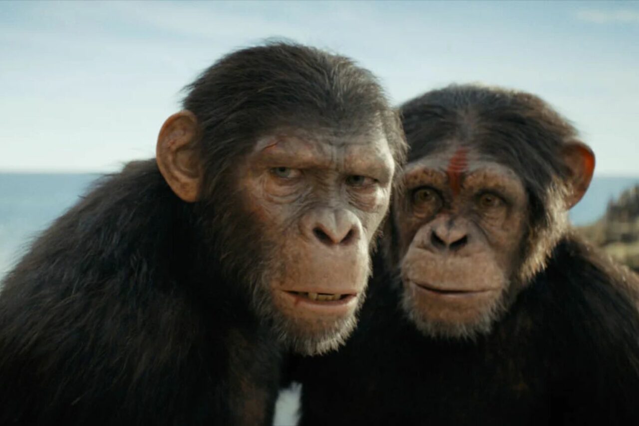 Photo of a new kingdom of monkeys symbolizing the evolving digital landscape of obituary databases