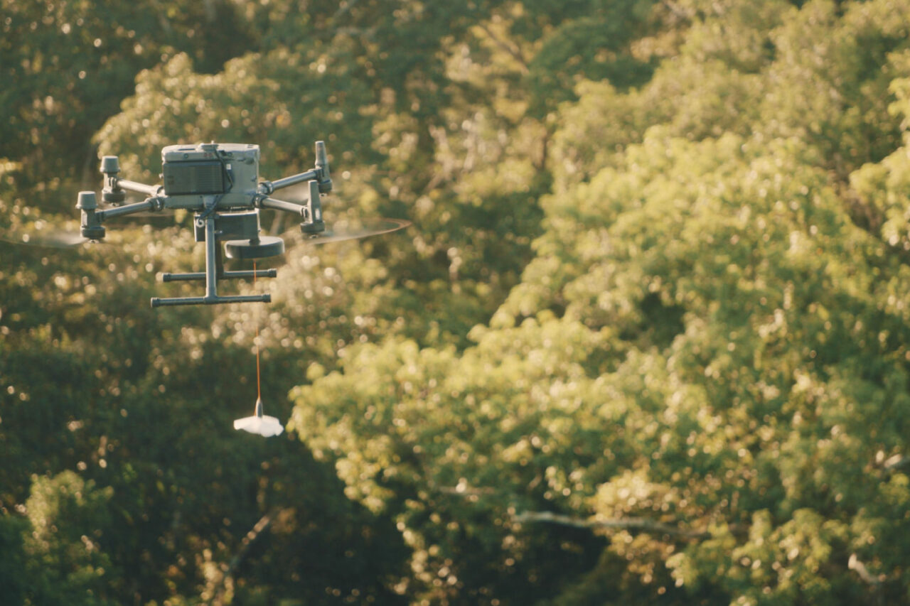Comment DJI met ses drones au service de la recherche en biodiversité