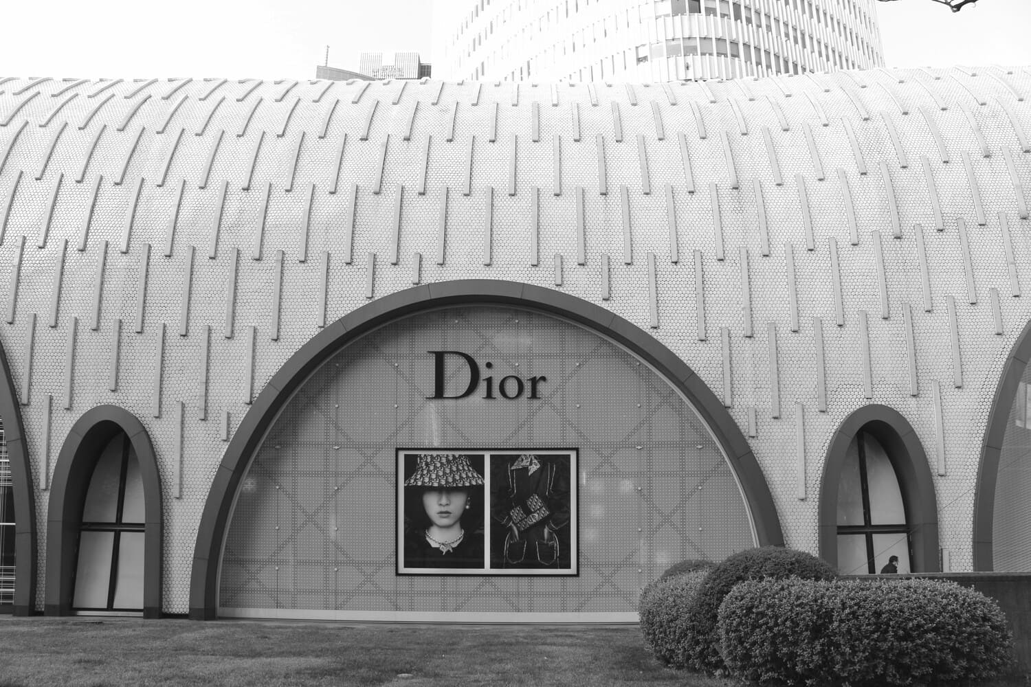Acheter Action Dior Guide