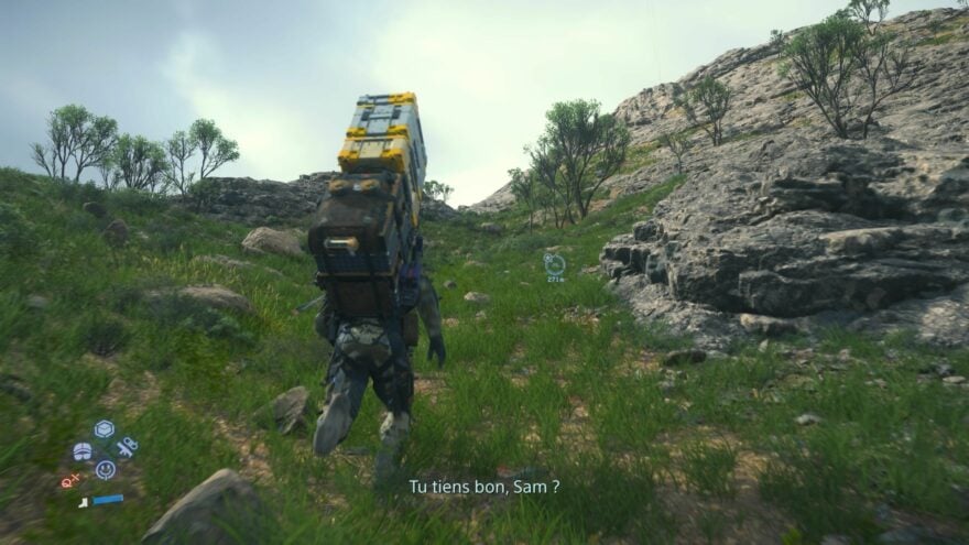 Ds2 Bis2