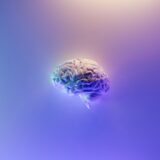 Cerveau