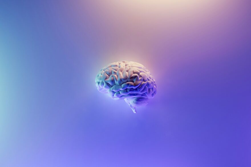 Cerveau