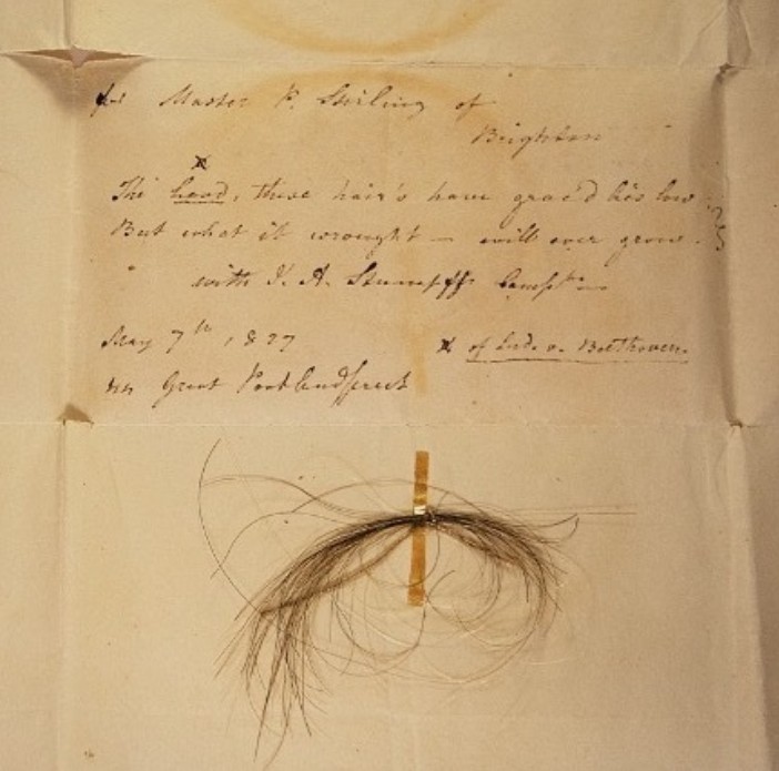 Cheveux Beethoven
