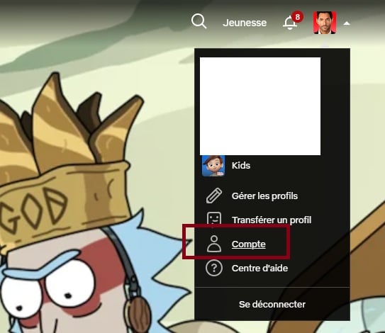 Netflix Compte
