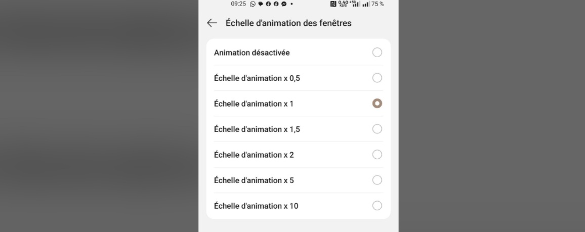 Opntion Developpeurs Android