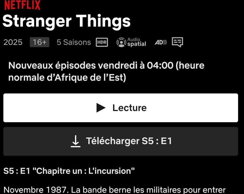 Telecharger Netflix