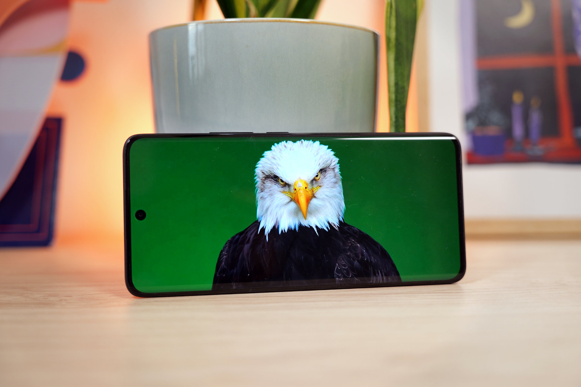 Xiaomi Redmi Note 15 5g Ecran