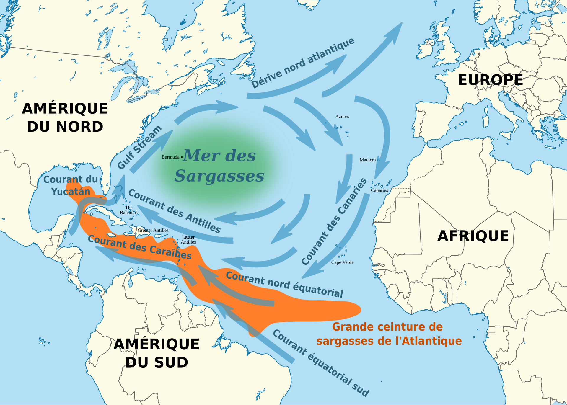 Grande Ceinture De Sargasses