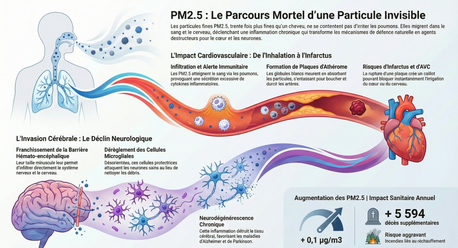 Pm2.5
