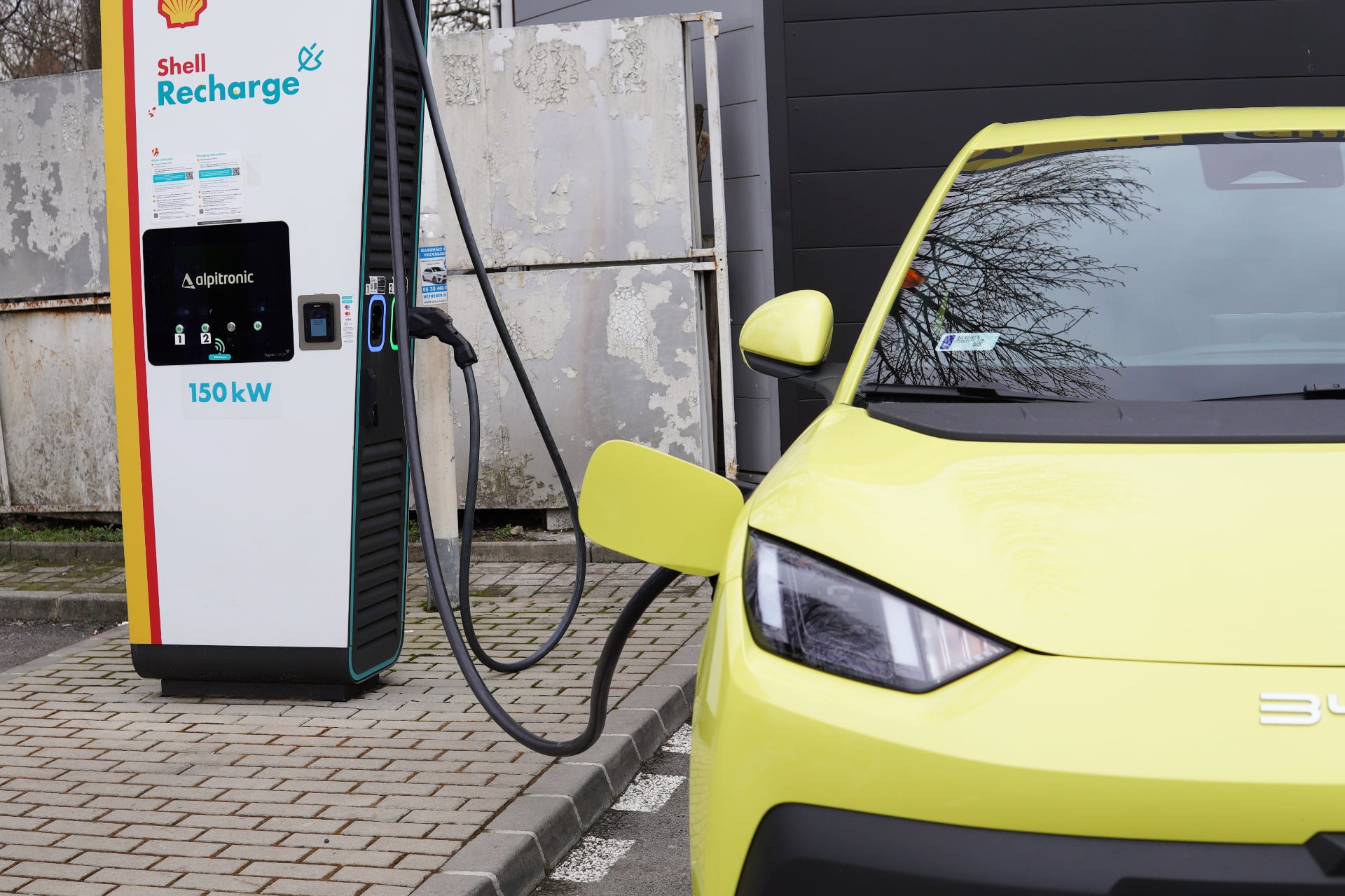 Byd Dolphin Surf Essai Recharge Rapide Dc Puissance