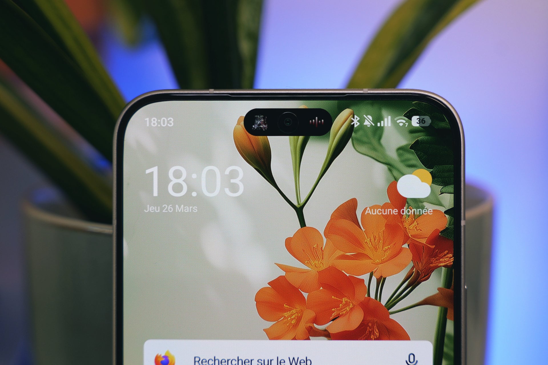 Poco X8 Pro Max Dynamic Island