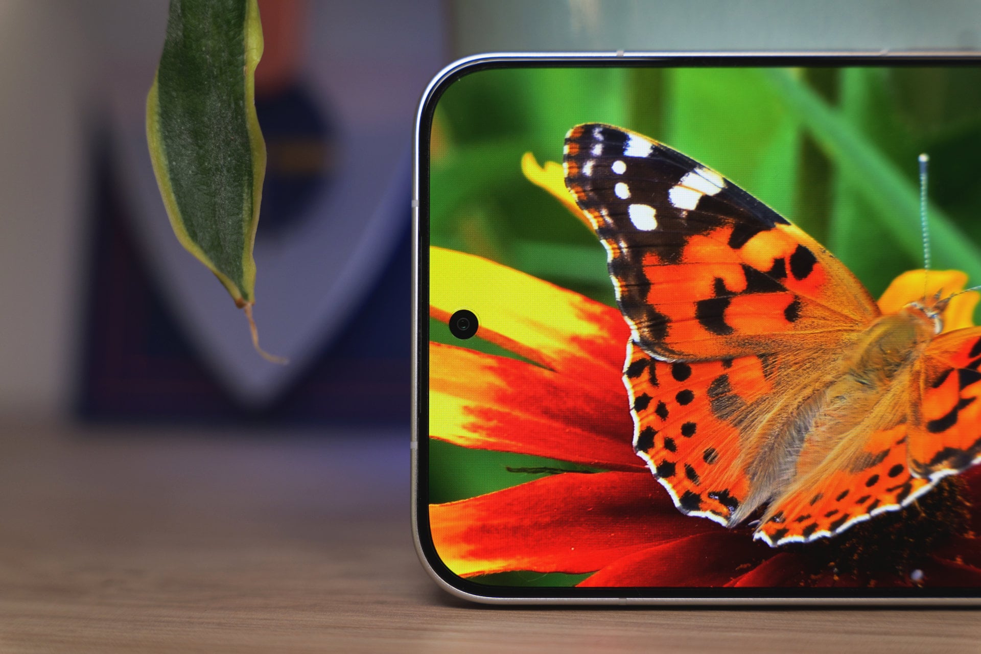 Poco X8 Pro Max Ecran Papillon