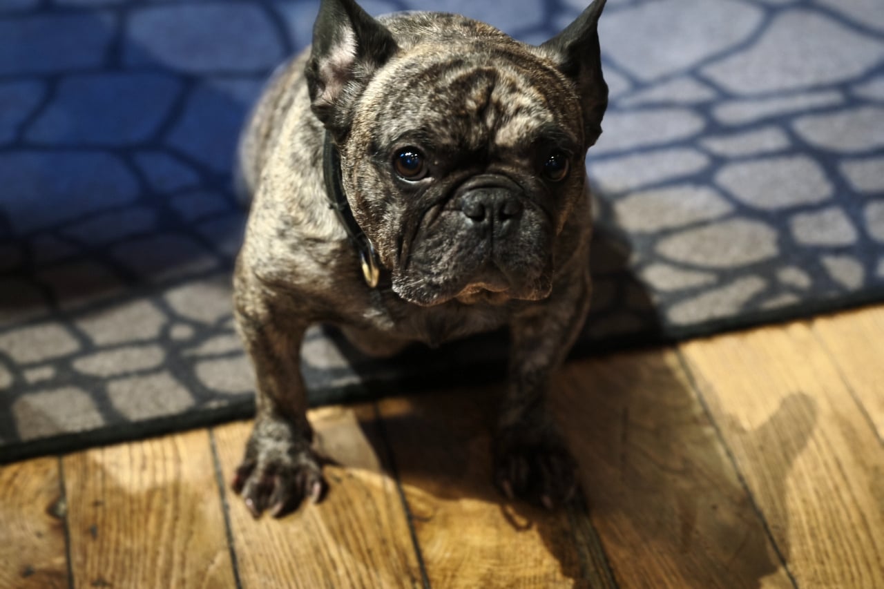 Honor 600 test photo portrait 