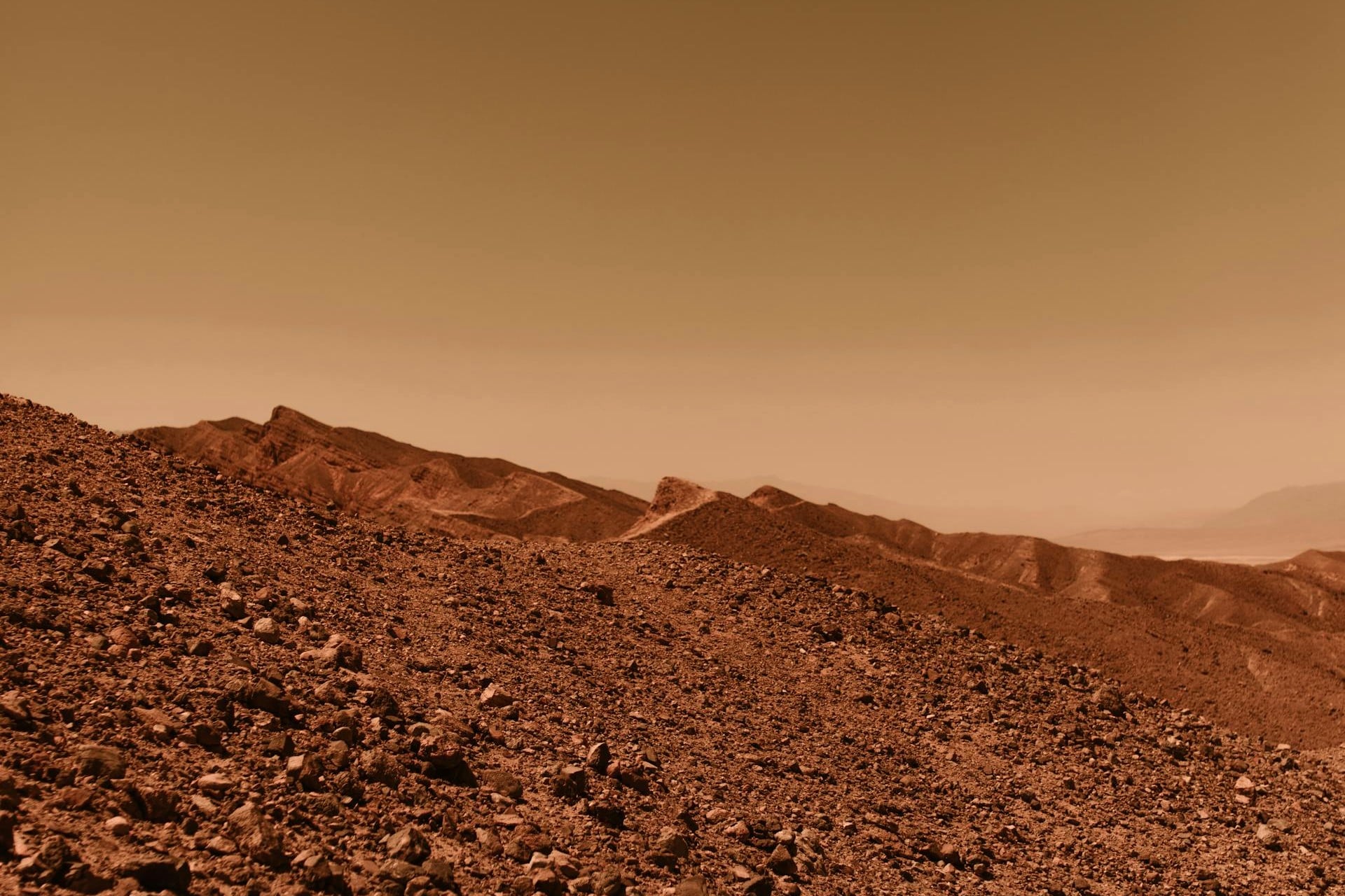 Surface Mars (2)