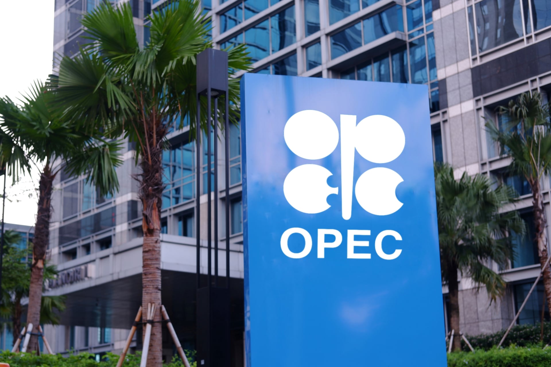 opep logo 2026 petrole organisation