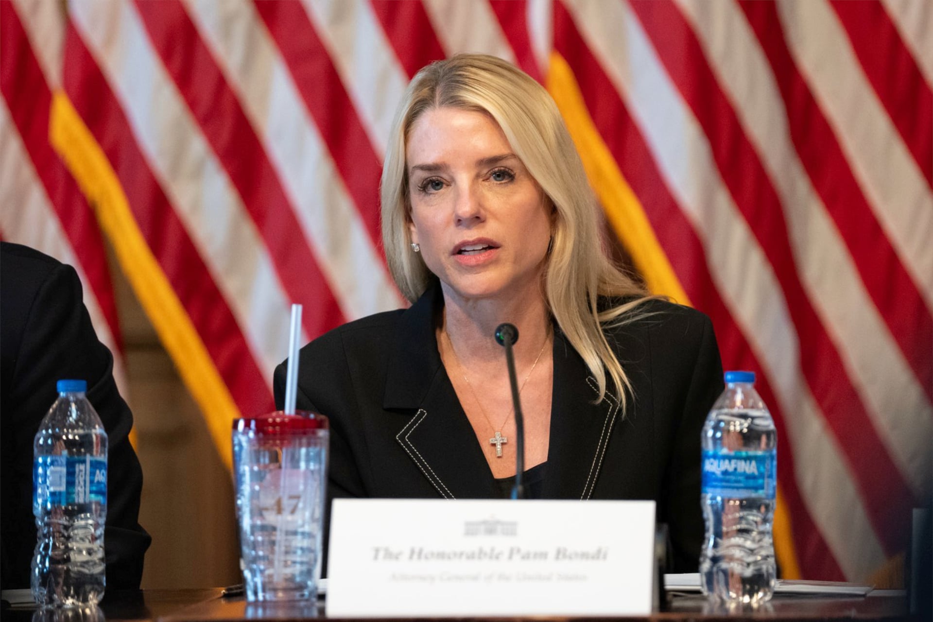 Pam Bondi 2026