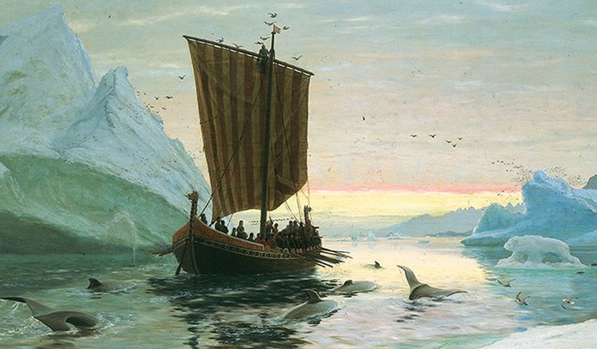 Vikings