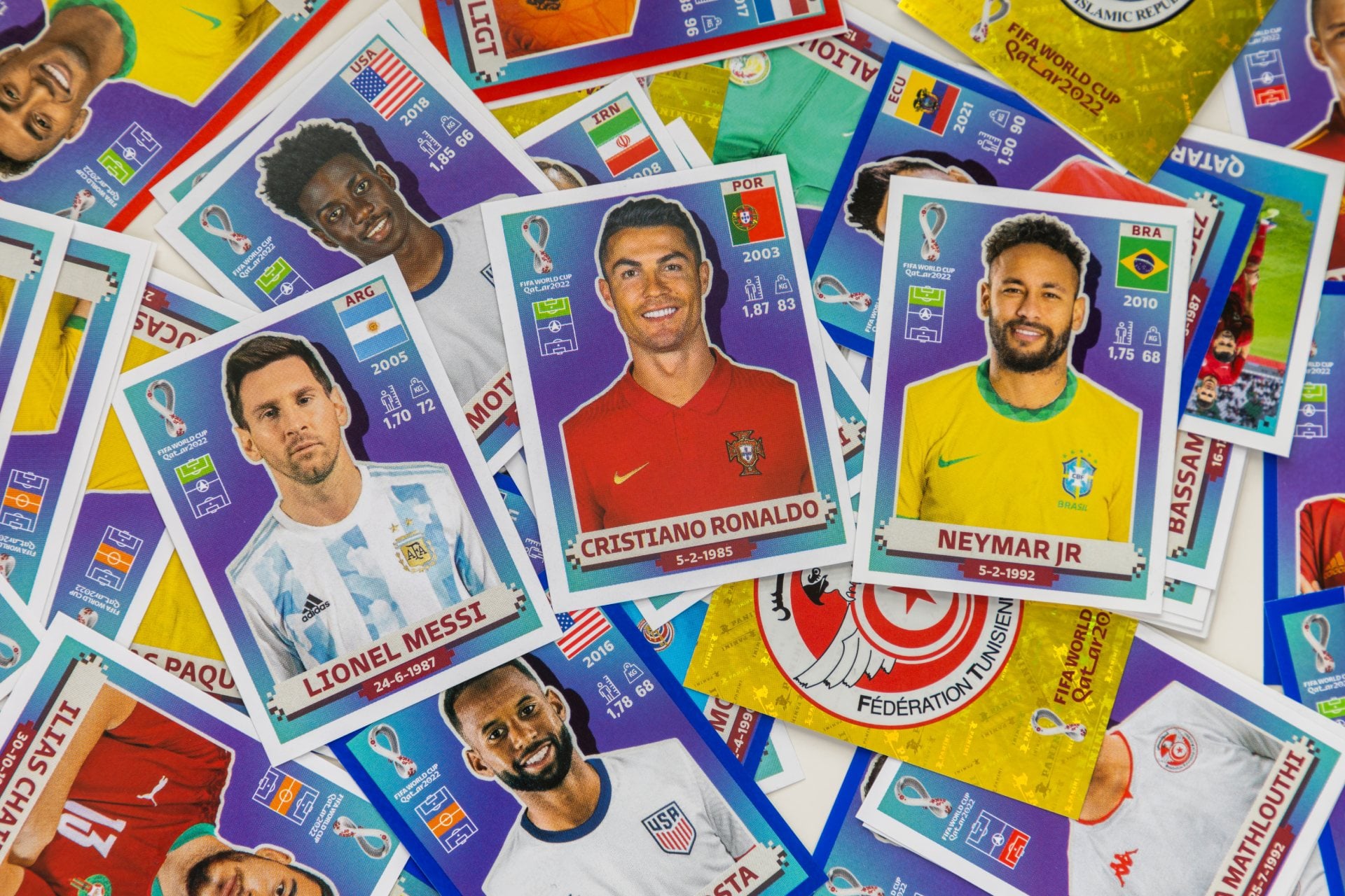 Panini Cartes