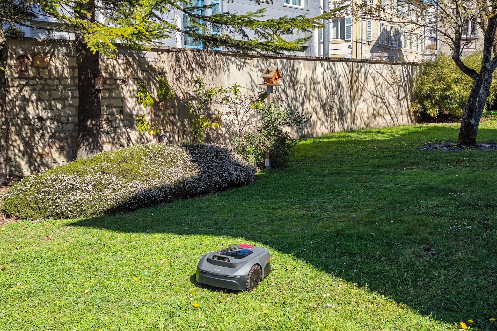 Test robot tondeuse Mova ViAX 250 performance de tonte