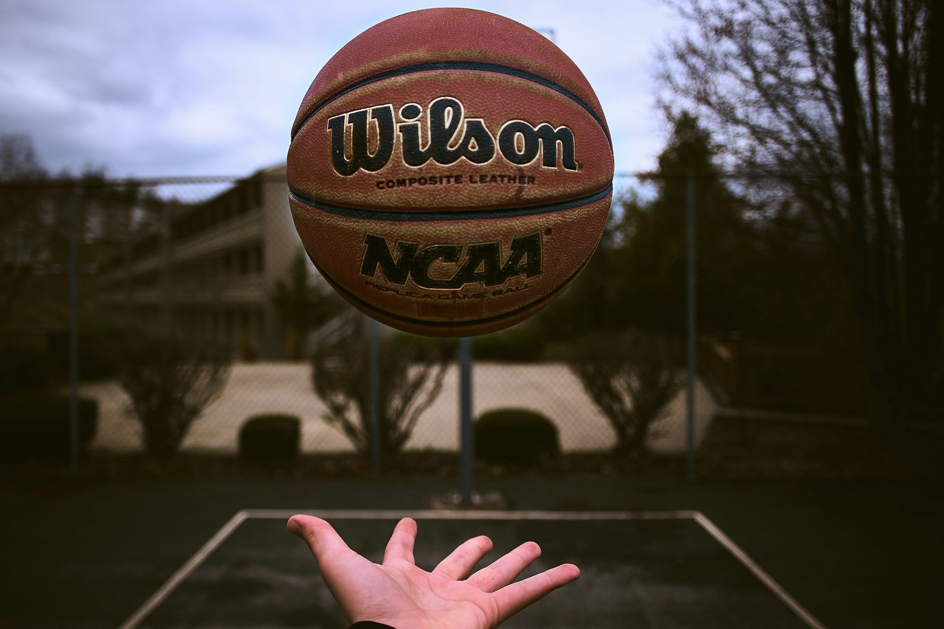 Basket