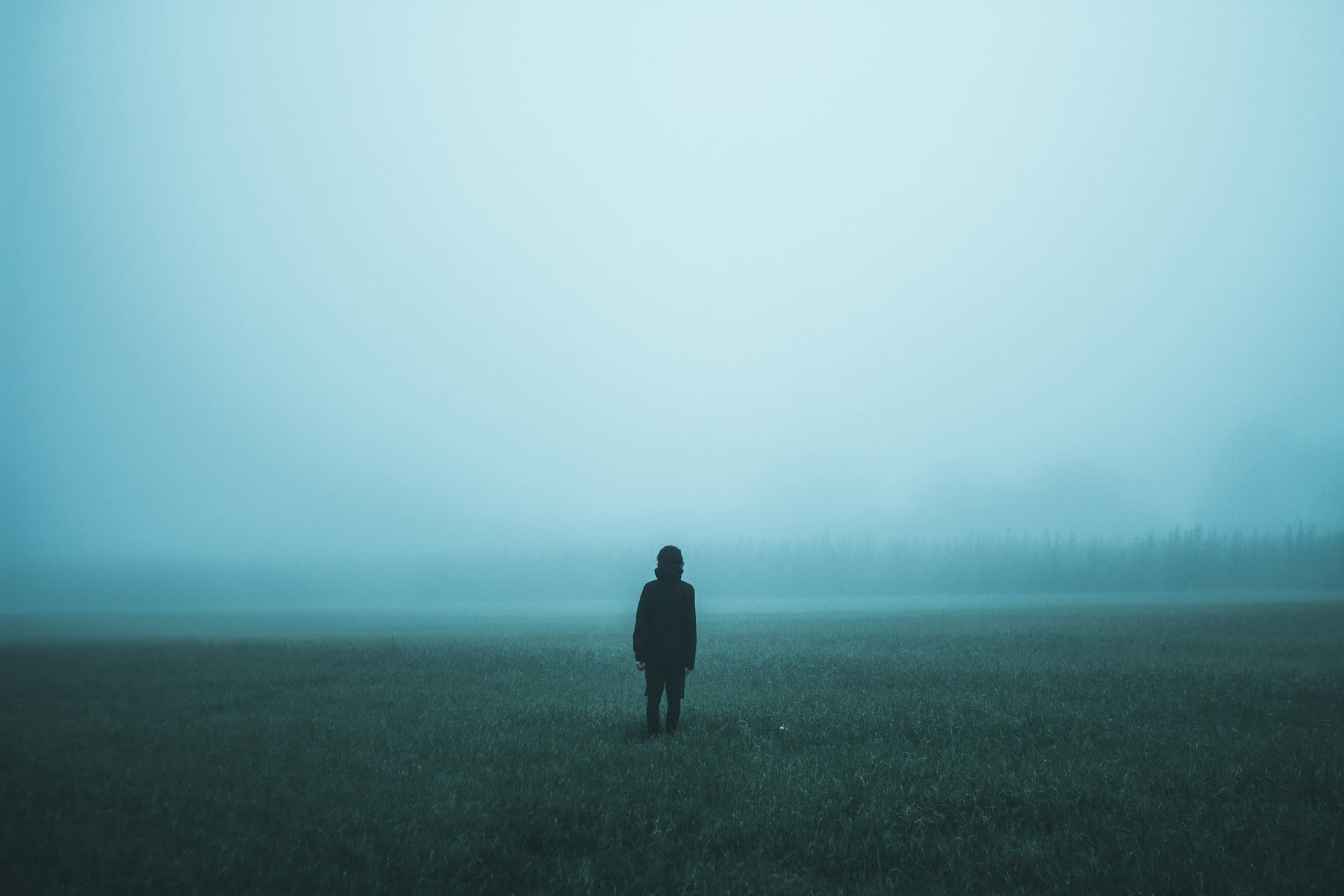 Brouillard