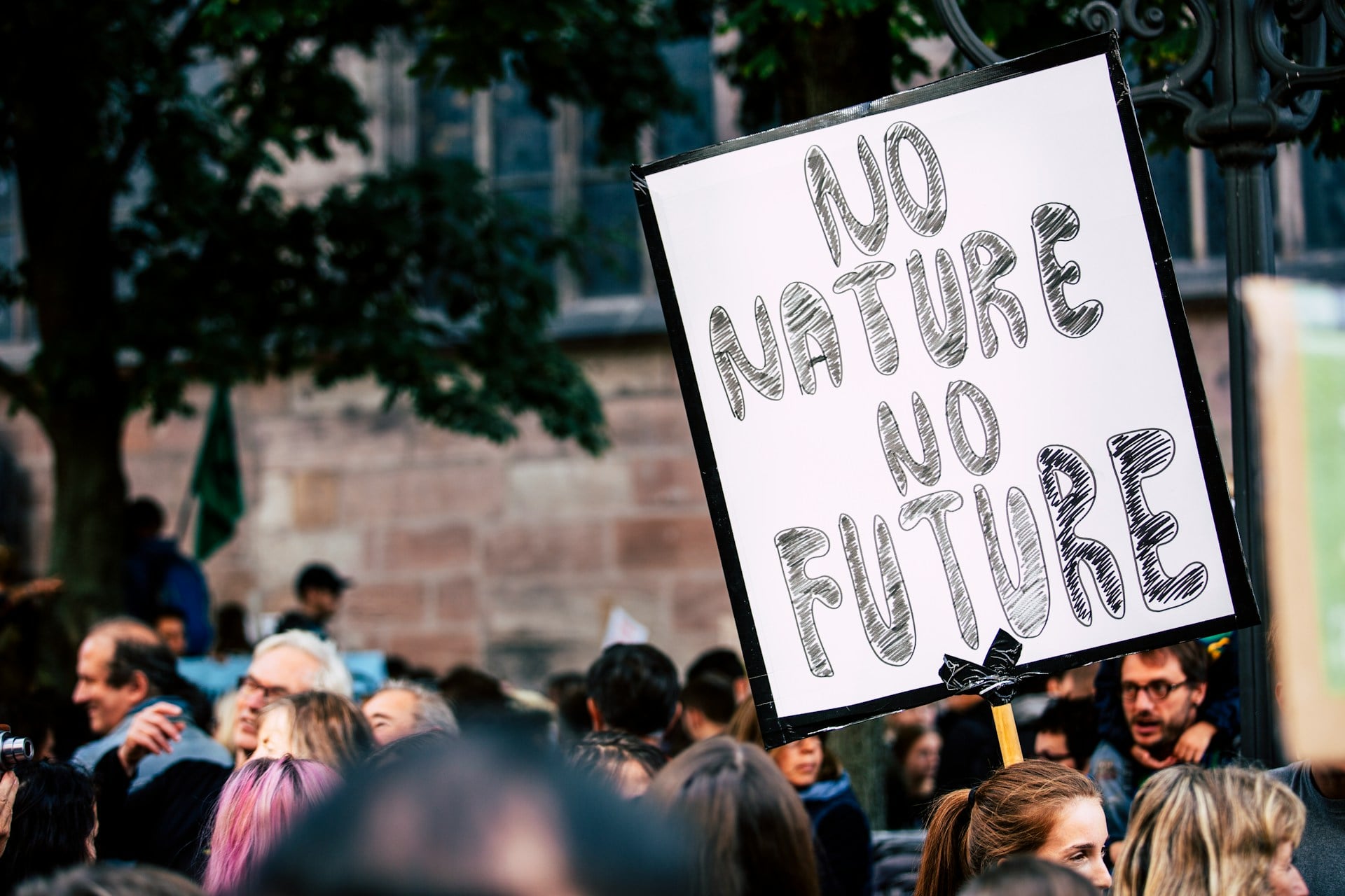 Environnement