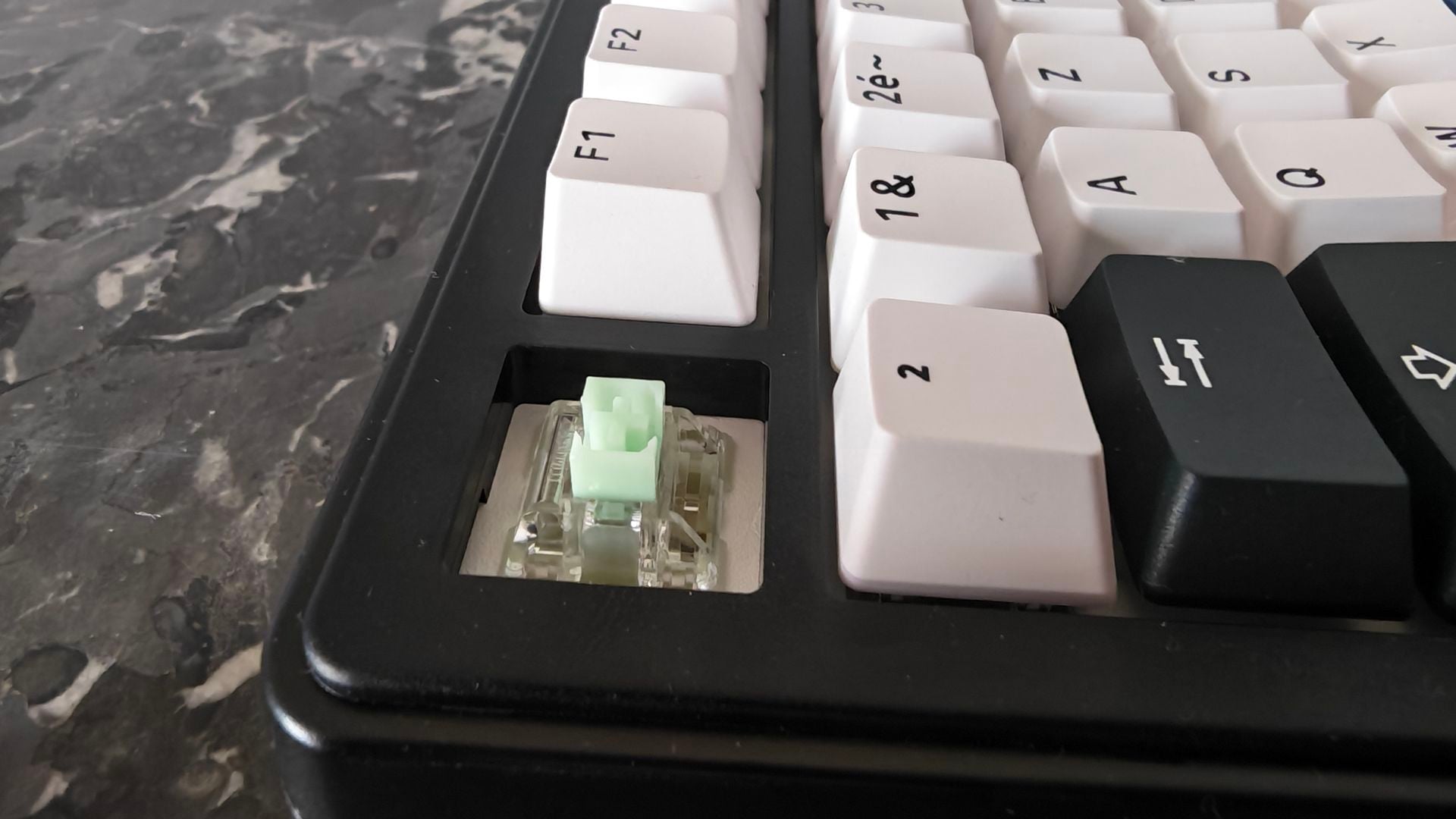 G Lab (10)