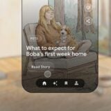 Google Story