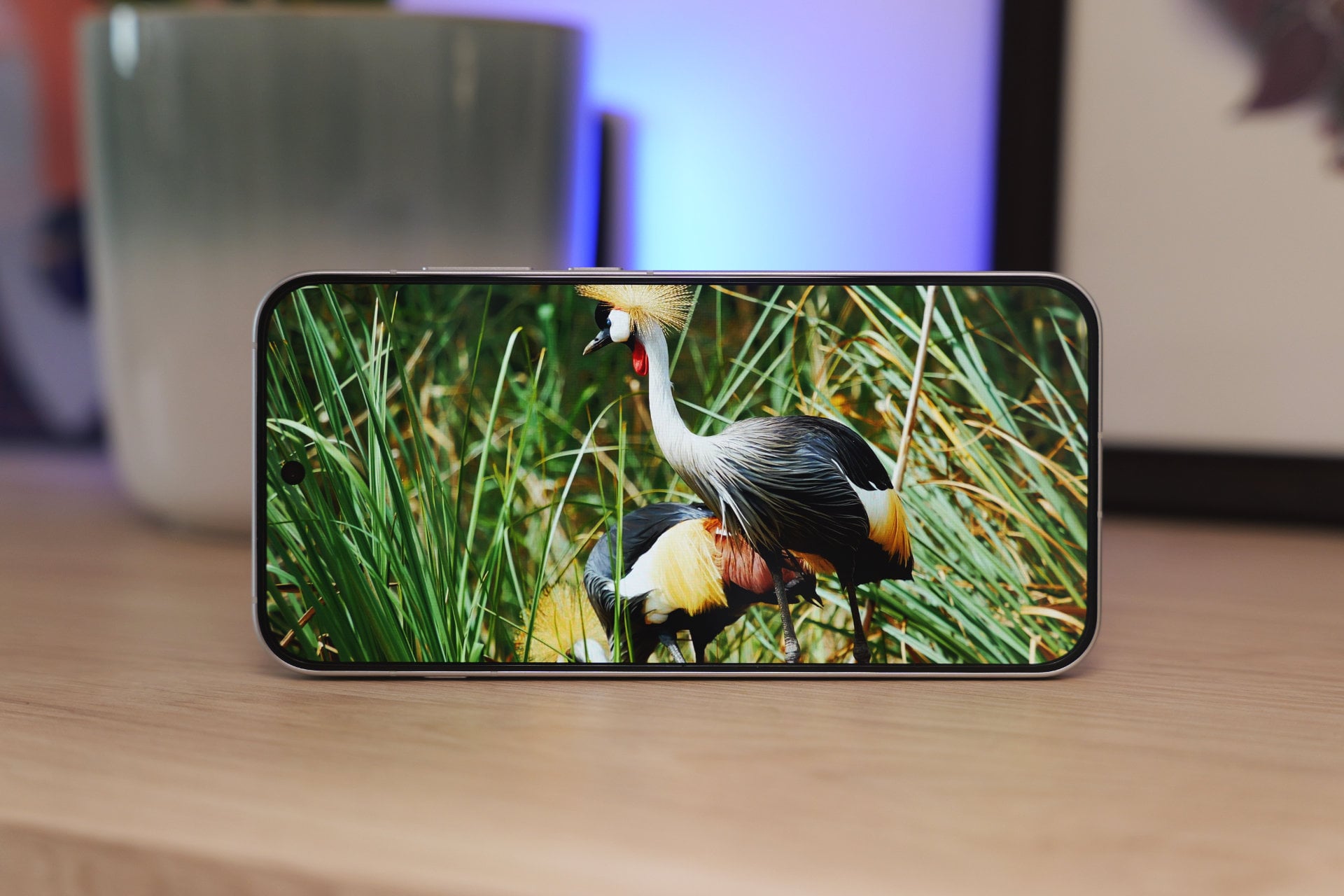 Oppo Reno 16 Pro Ecran