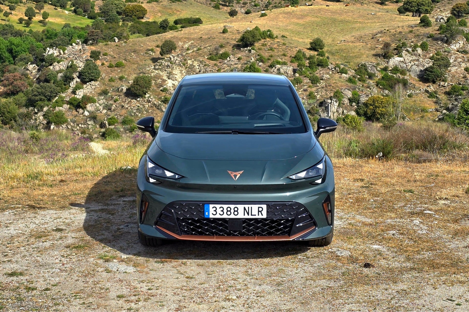 Cupra Born (24)