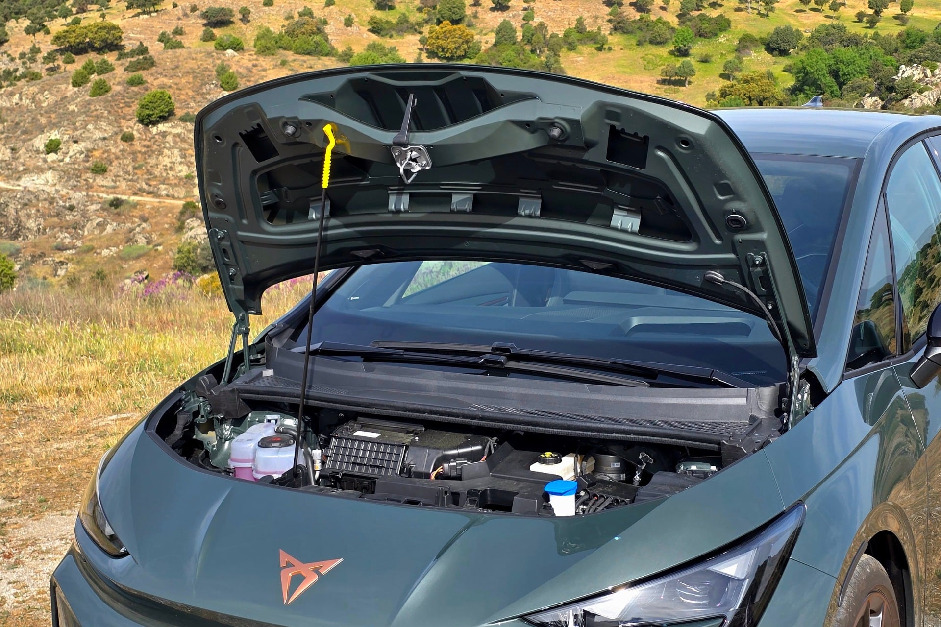 Cupra Born (6)