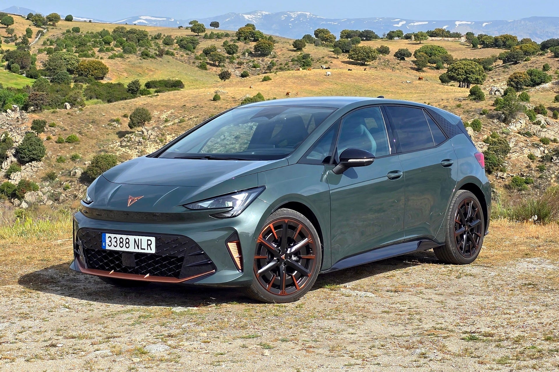Cupra Born (7)