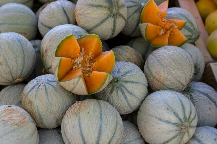 Melons
