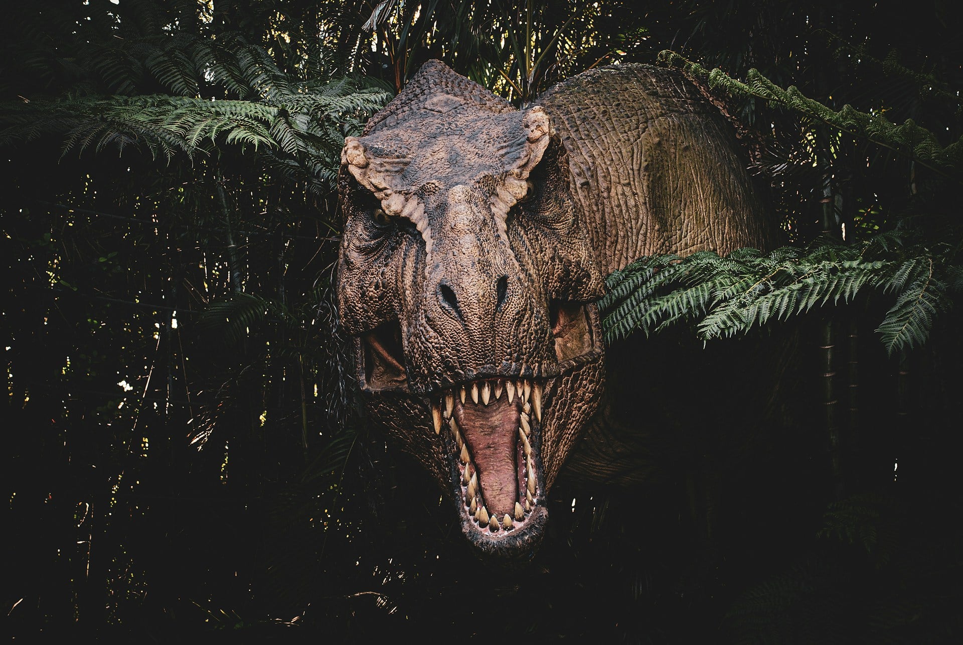 Dinosaure