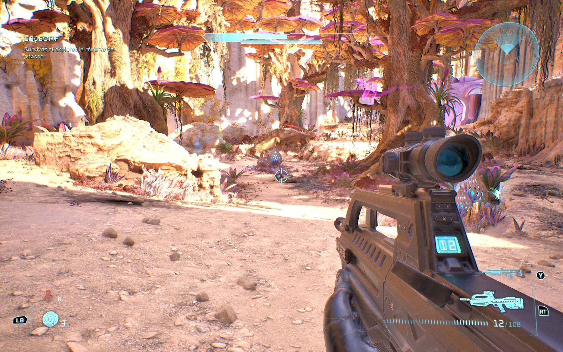 Halo (24)