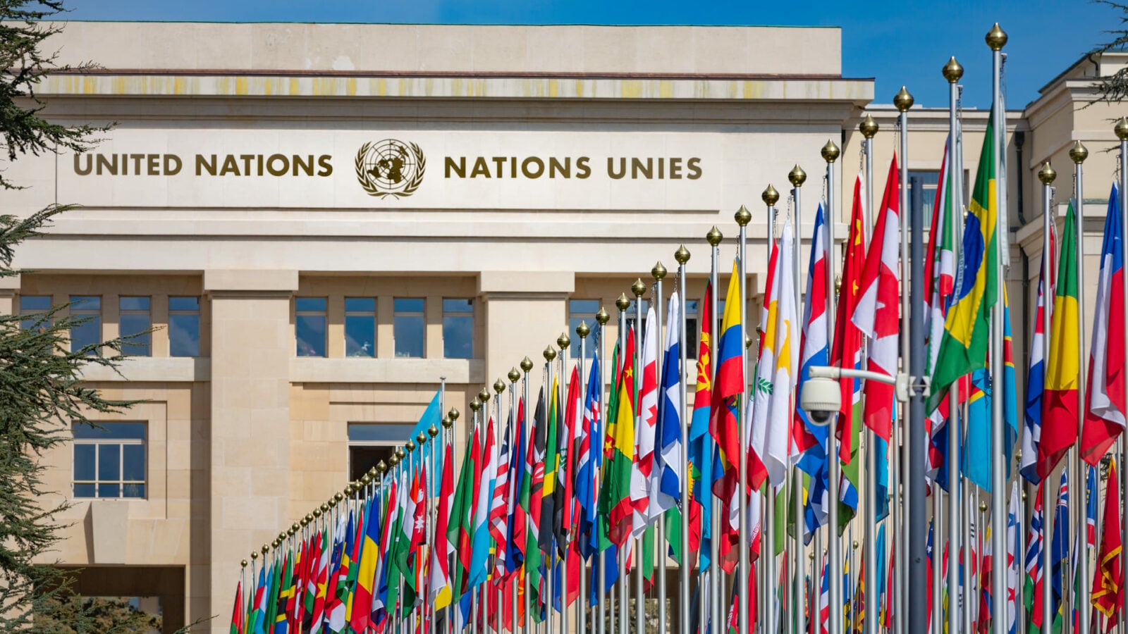 L’ONU dévoile son premier rapport indépendant sur l’IA : 40 scientifiques dévoilent ce qui va changer pour le meilleur et pour le pire