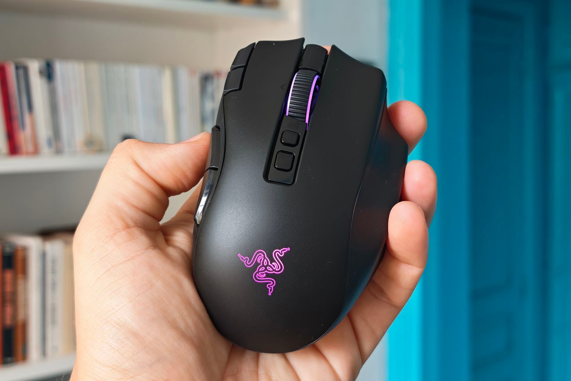 Razernaga (10)