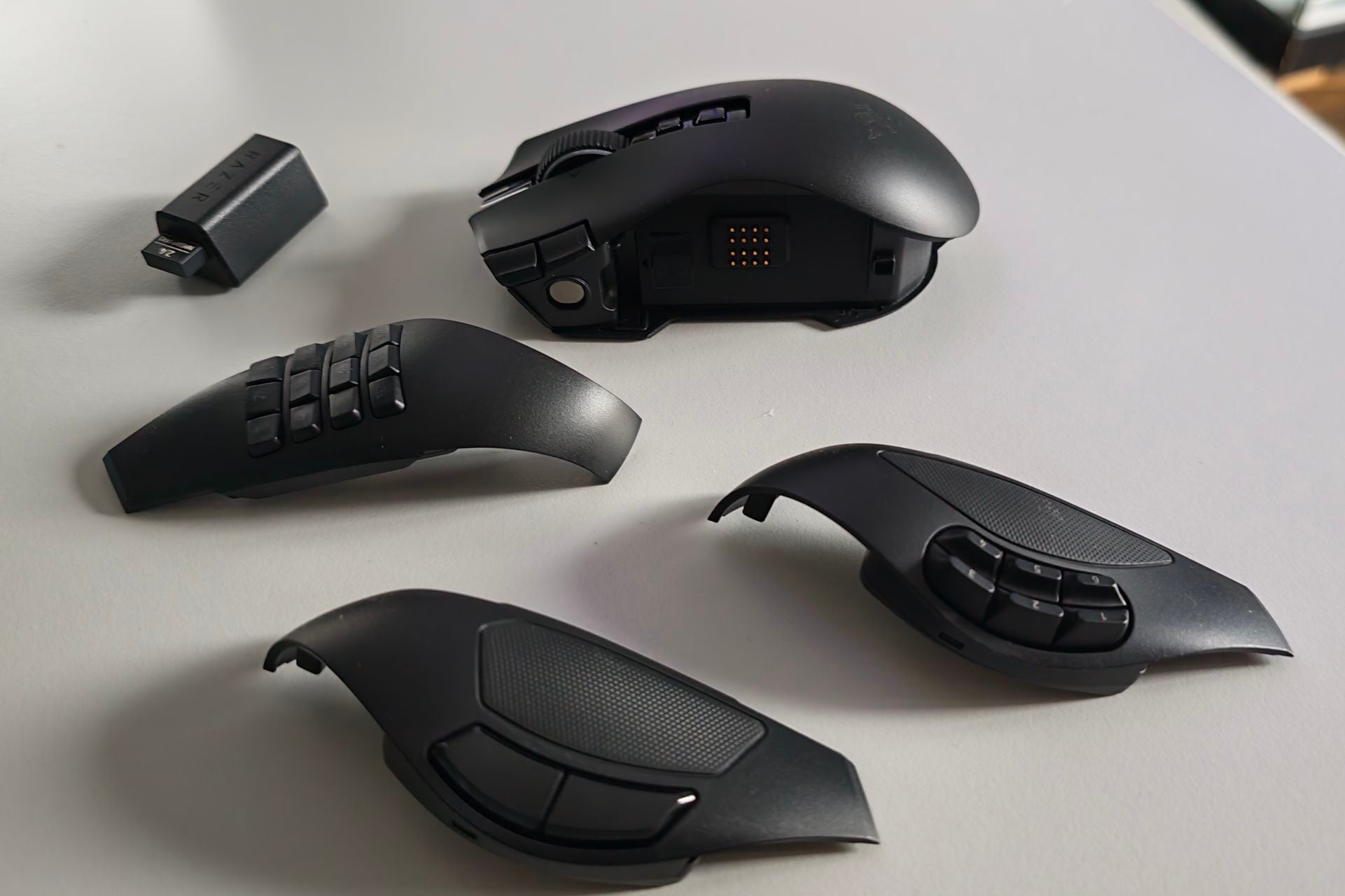 Razernaga (5)