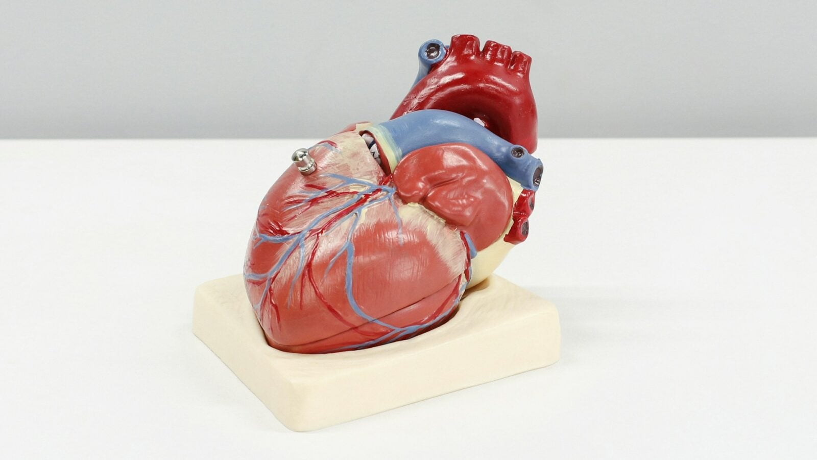 Selon cette étude, 99 % des AVC et des crises cardiaques sont liés à ces 4 habitudes. Comment éviter de jouer à la roulette russe avec votre propre santé ?