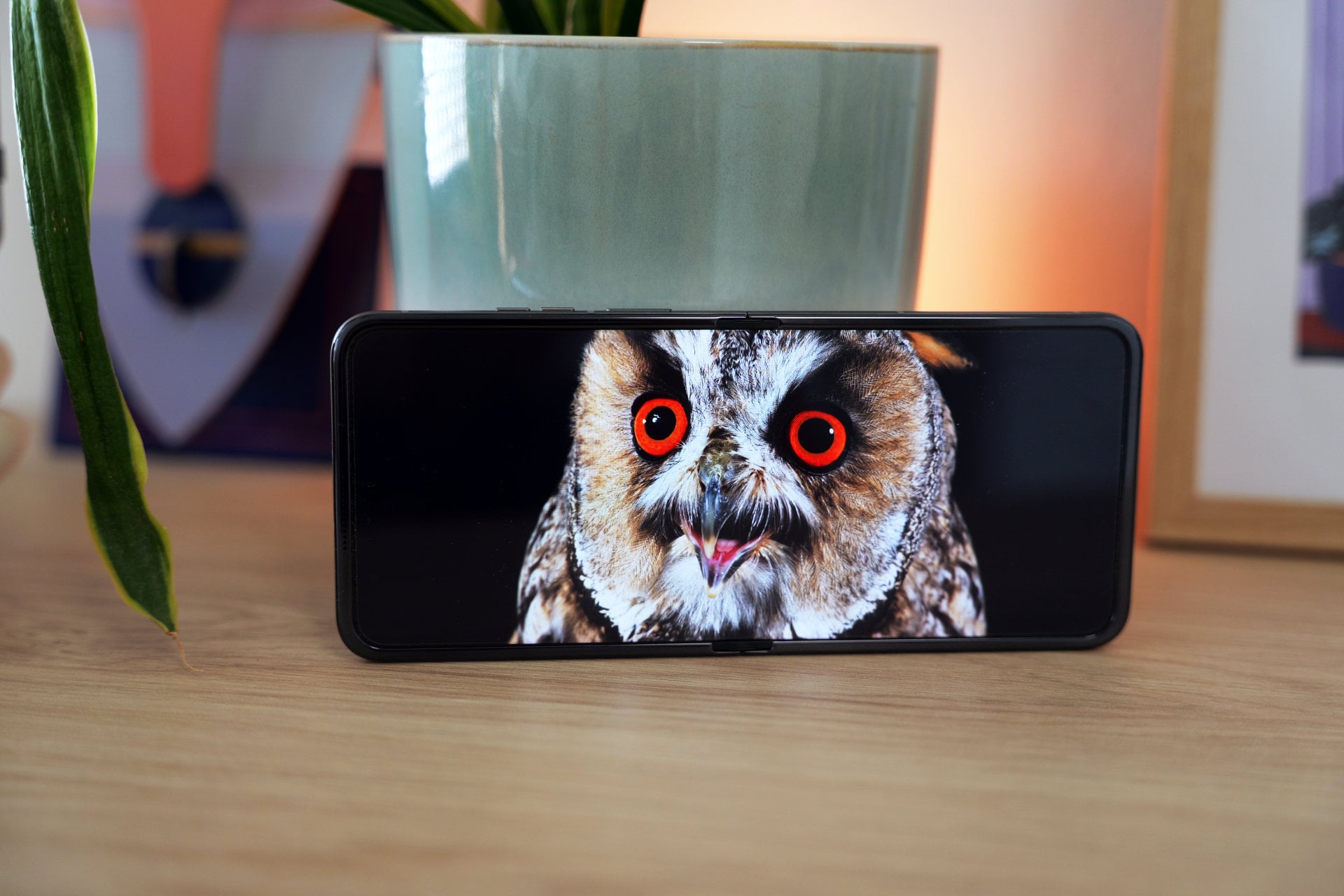 Motorola Razr 70 Ecran