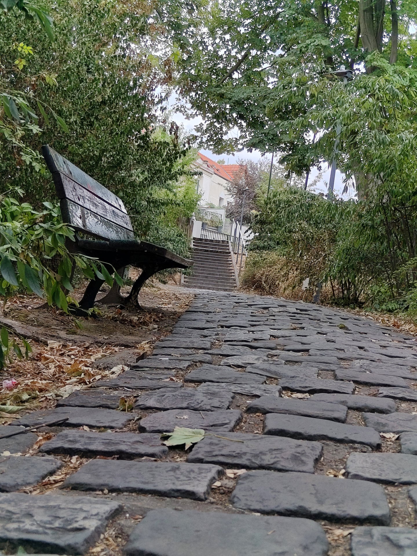 Img 20260817 171006079 Hdr