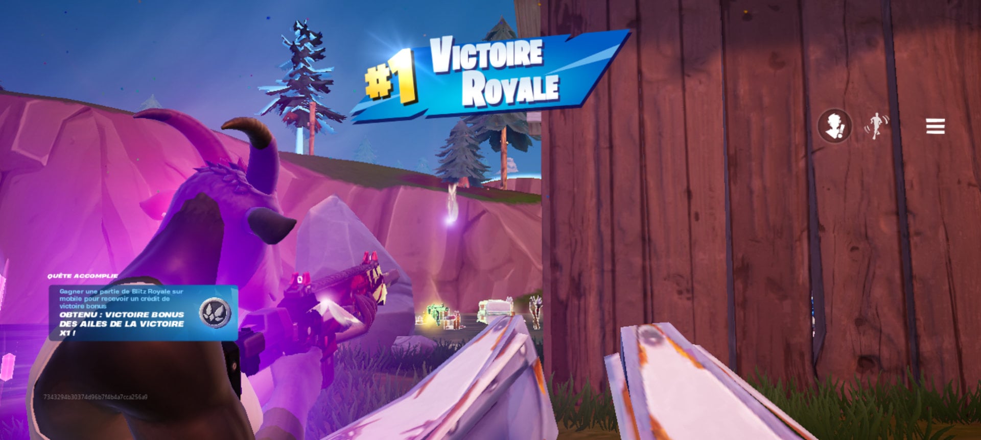 Fornite Victoire Royale