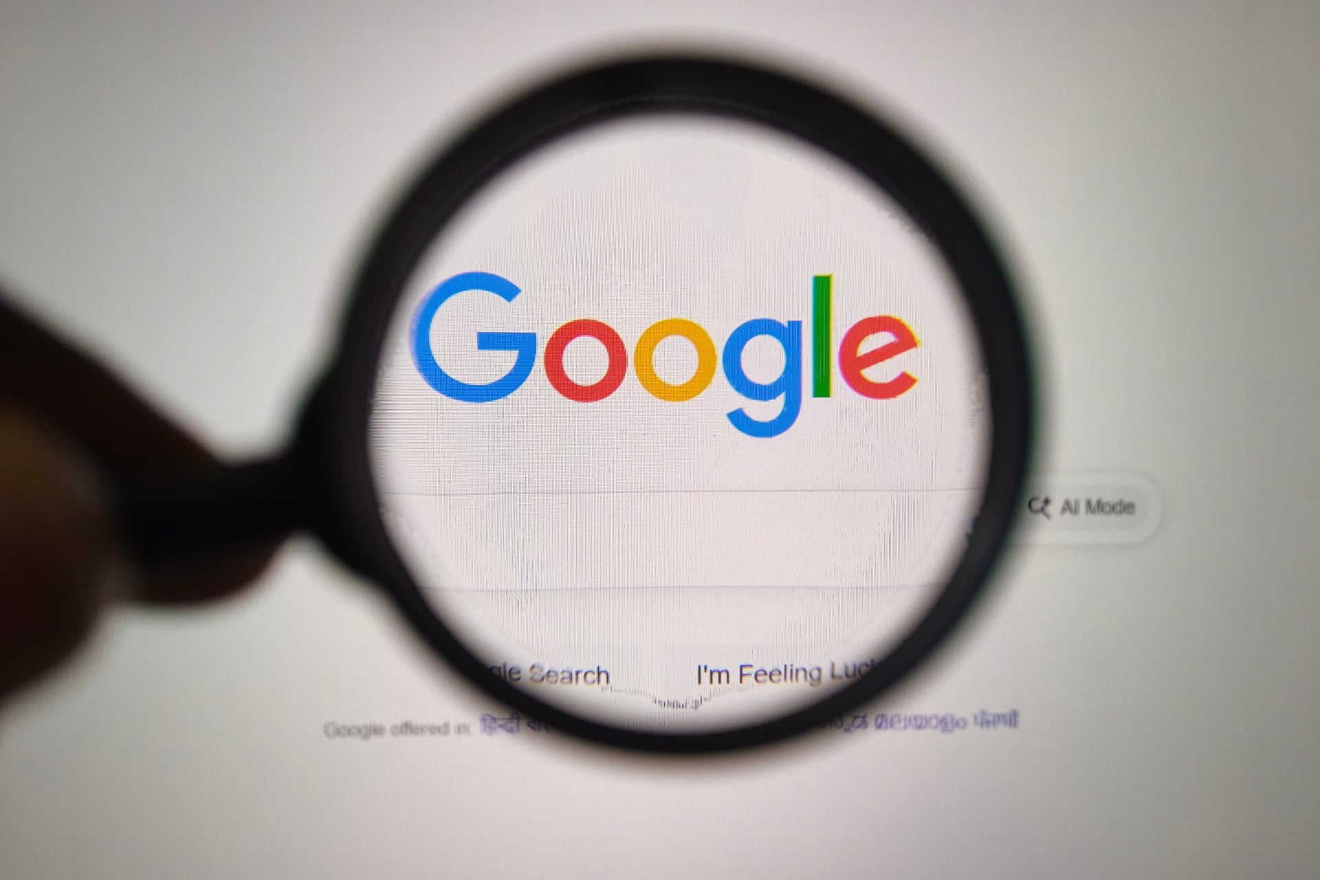 Google Disputes